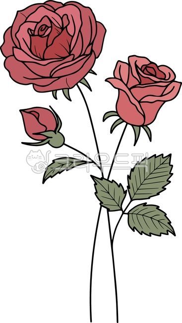 6월,장미,탄생화,꽃,꽃그림,꽃일러스트,그림,타투도안,문신,드로잉,타투디자인,타투,생일,플로랄디자인,꽃디자인,벡터,식물,라인,라인드로잉,라인아트,라인일러스트,선일러스트,선그림,식물그림,flower,plant,rose