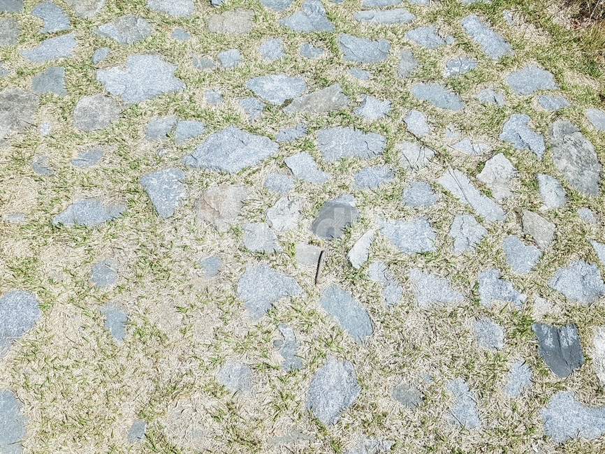 길,바닥,돌,돌길,화단,자갈,잔디,풀,벽돌,초록색,산책