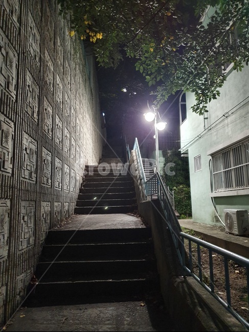 handrail,banister,난간,계단,나무,가로등