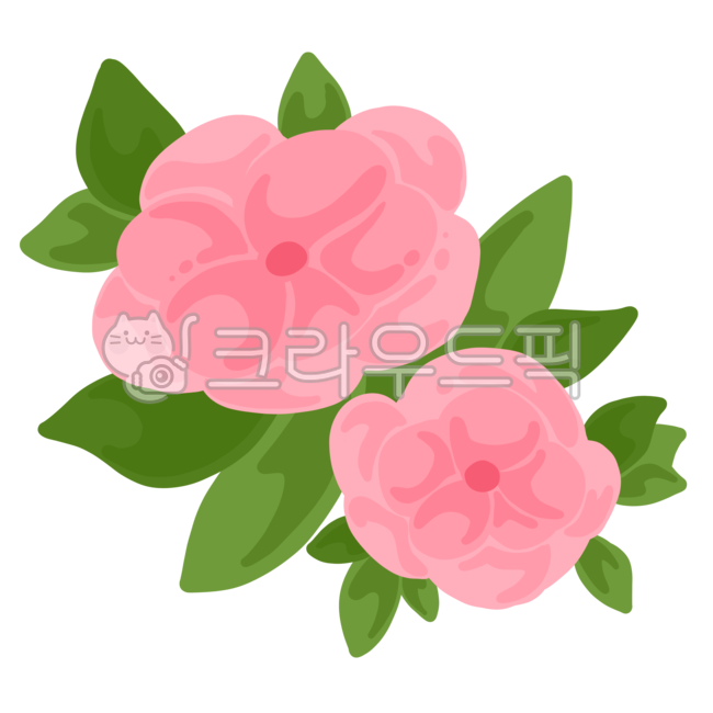 일러서트,손그림,스티커,다꾸,꾸미기,png,아이콘,장식,디자인요소,꽃,카네이션,장미,분홍색,식물,자연,나뭇잎,잎,풀,꽃일러스트