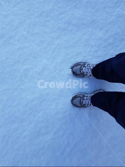 눈,첫눈,차가움,하얀색,흰눈,깨끗함,강박증,겨울,계절,winter,season