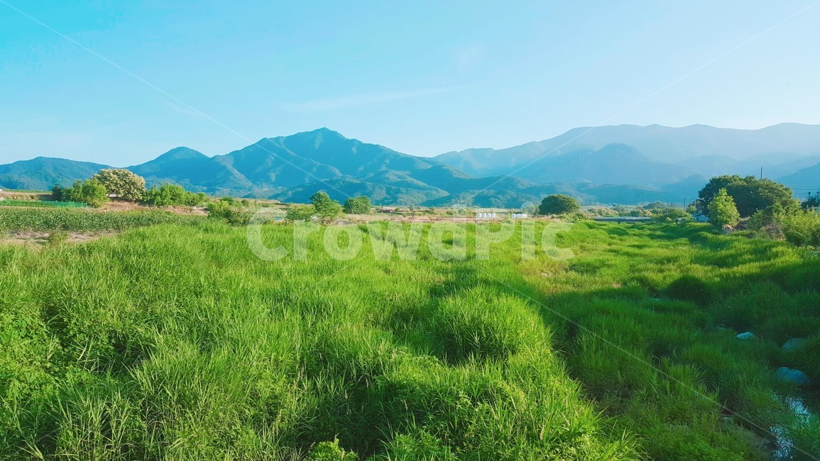 시골,풍경,밭,산,하늘,자연,풍경,nature,landscape,outdoors,옥외,field,들,grassland,목초지