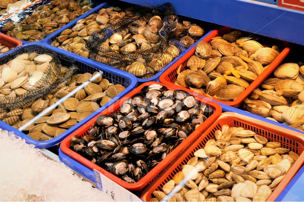 수산시장,해산물,조개,조개류,판매,시장,마트,마켓,market,mart,market place,음식,식재료,요리,food,cook,meal,dishes,food reserves,수산물,해산물,fishery products,seafood