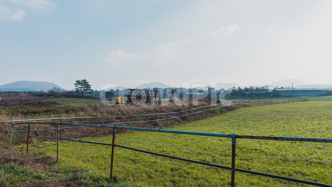 목장,제주도,들판,풀,풍경,jejuisland,farm,green,landscape,초원,농장,자연,풍경,nature,landscape,outdoors,옥외