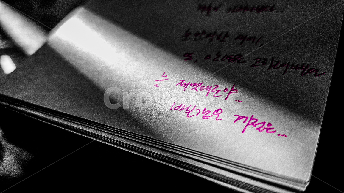 메모지,노트,햇빛,햇살,캘라그래피,calligraphy,note,memo,sunlight,text