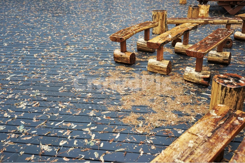 쉼터,나무의자,겨울,낙엽,메타세콰이어,긴의자,fallenleaves,chair,wooden,recycling,path,통로,walkway,보도