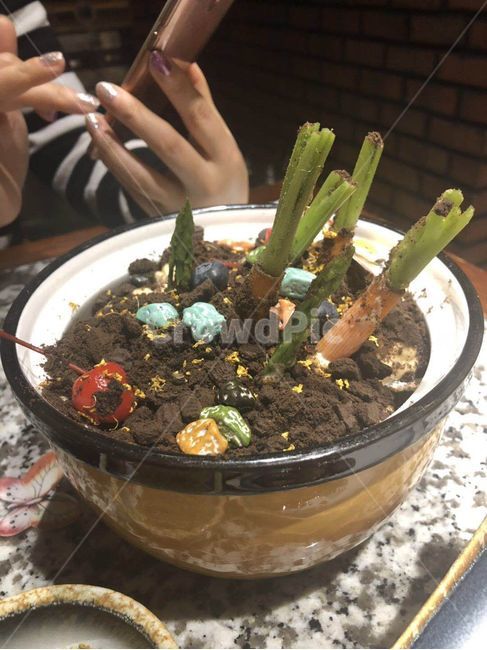 움직이는요리,중화초콜렛요리,중국스낵,중식당시각요리,중국복고식당스낵