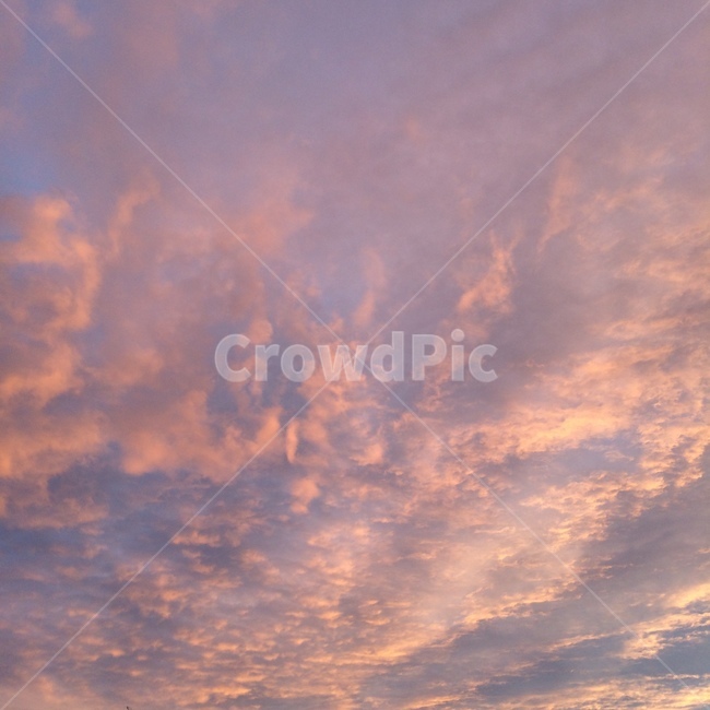 nature,자연,outdoors,옥외,sky,하늘,cloud,구름,핑크,핑크하늘,노을,pink,sunset,자연,풍경,nature,landscape