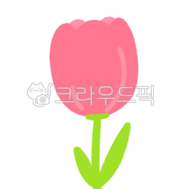 봄,꽃,분홍,분홍꽃,봄꽃,분홍봄,봄꽃분홍색,튤립,튤립꽃,분홍튤립,핑크,핑크꽃,봄꽃핑크색,핑크튤립,핑크봄