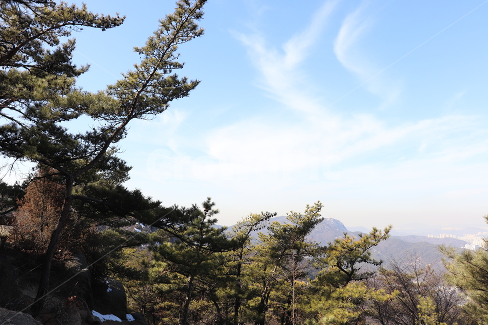 등산,자연,풍경,하늘,나무,자연,풍경,nature,landscape,tree,plant,식물,fir,전나무