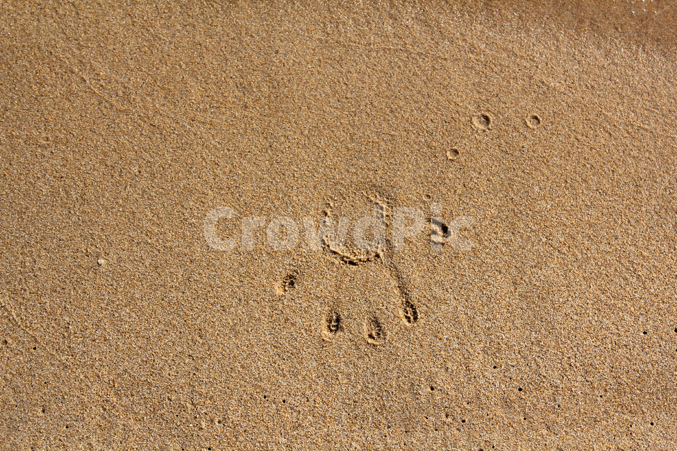 beach,brown,detail,earth,ground,mud,mudflat,nature,sand,soil,waterstreak,바닷가,해안가,갈색,브라운,땅,흙,모래,모래사장,해변,자연,진흙,갯벌,손자국,자국,모래밭,탑앵글,탑뷰,고운모래,해변,바다,beach,sea