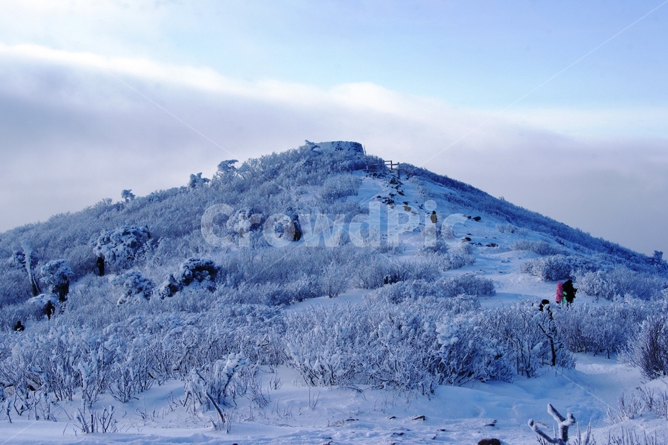 nature,자연,설경,겨울,태백산,겨울,계절,winter,season,자연,풍경,nature,landscape,한국자연풍경,한국자연경관,korea nature landscape