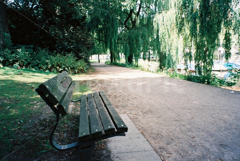 독일,함부르크,알스터호수,산책,필름사진,필름,필름카메라,평온,휴식,벤치,germany,hamburg,alster,kodak,film,filmphoto,ektar100,엑타100,자연,풍경,nature,landscape,휴식,힐링,rest,relaxation,healing,해외,외국,세계,foreign,oversea,world,감성,sensible,feeling,bench,tree,나무,plant,식물