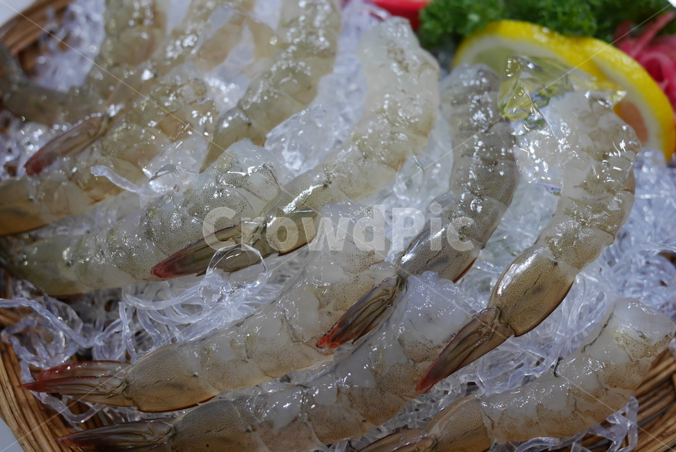 생새우,새우,새우요리,해산물,대하,음식,식재료,요리,food,cook,meal,dishes,food reserves,수산물,해산물,fishery products,seafood
