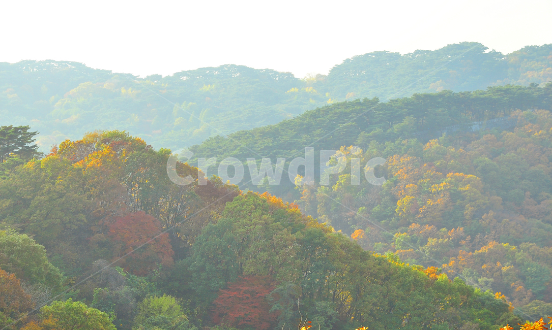 가을,가을풍경,단풍,가을산,칼라풀,능선,산등성이,fall,autumn,background,landscape,mountain,산,가을분위기,가을서정,백그라운드,배경,바탕,10월,11월,colorful,가을배경,가을숲,가을능선,시즌,계절,season,가을,계절,fall,autumn,season,자연,풍경,nature,landscape,한국자연풍경,한국자연경관,korea nature landscape,outdoors,옥외