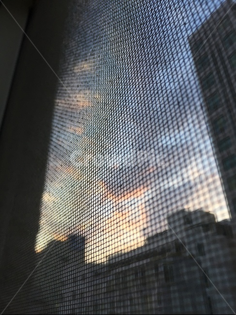 노을,저녁,하늘,창문,건물
