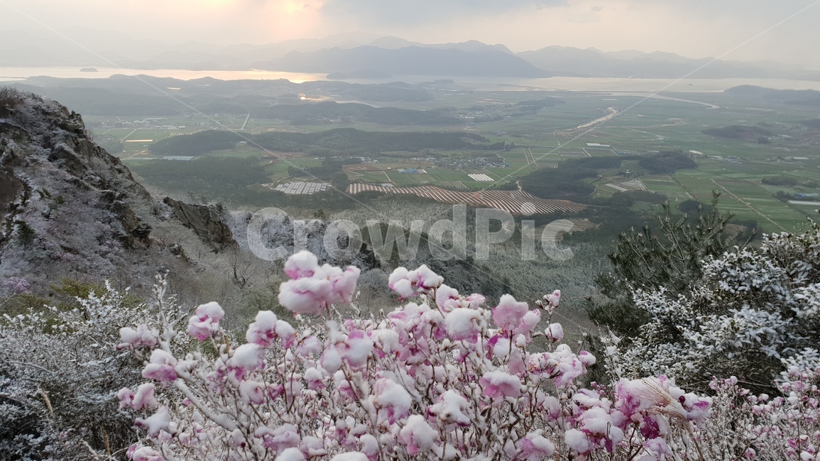 주작산,덕룡산,진달래,눈꽃,풍경,봄눈꽃,진달래눈꽃,산,자연,풍경,nature,landscape,경치,outdoors,옥외,scenery,panoramic,파노라마