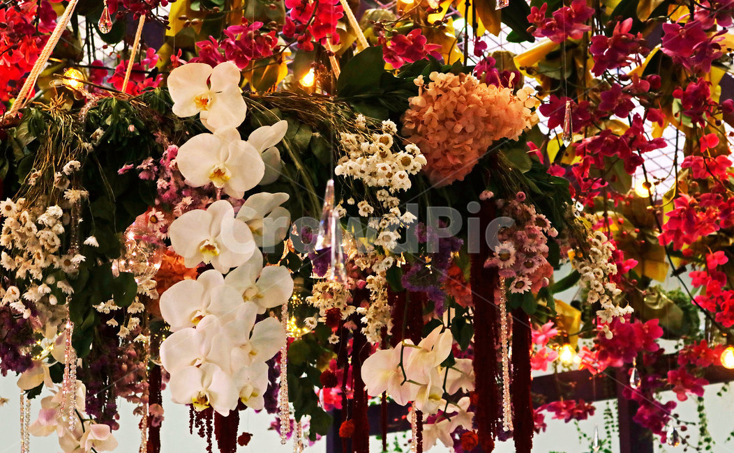 꽃,flower,plant,식물,꽃장식,꽃들,천장꽃,천장장식,꽃인테리어,식물,자연,plants,nature,꽃,flower