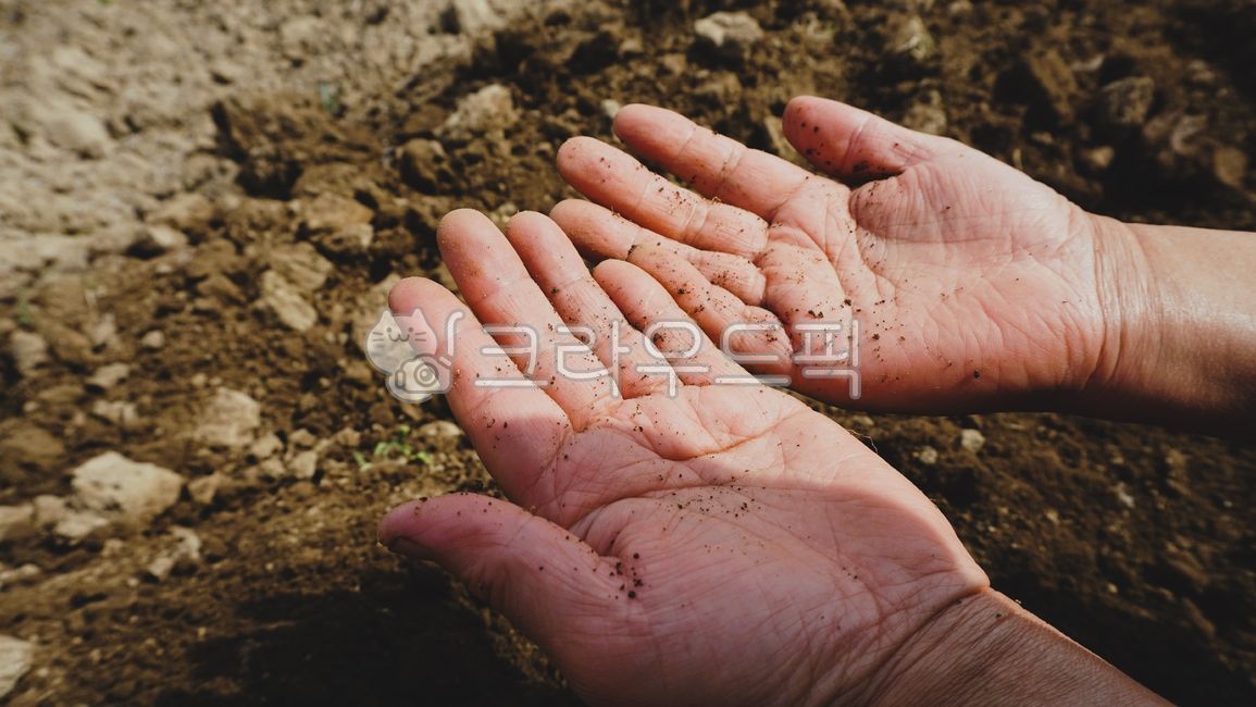 finger, 손가락, hand, 손, soil, 사진,이미지,일러스트,캘리그라피 - 꿈꾸는 이작가작가