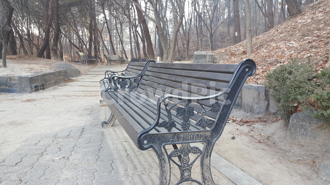 공원,벤치,의자,쉼,휴식,자연,야외,자연,풍경,nature,landscape,bench