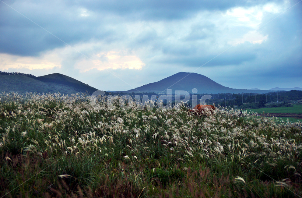 백록담,한라산,제주,영산,최남단산,자연,풍경,nature,landscape,한국자연풍경,한국자연경관,korea nature landscape,제주도,jeju,jeju island,outdoors,옥외,mountain,산,mountain range,산맥