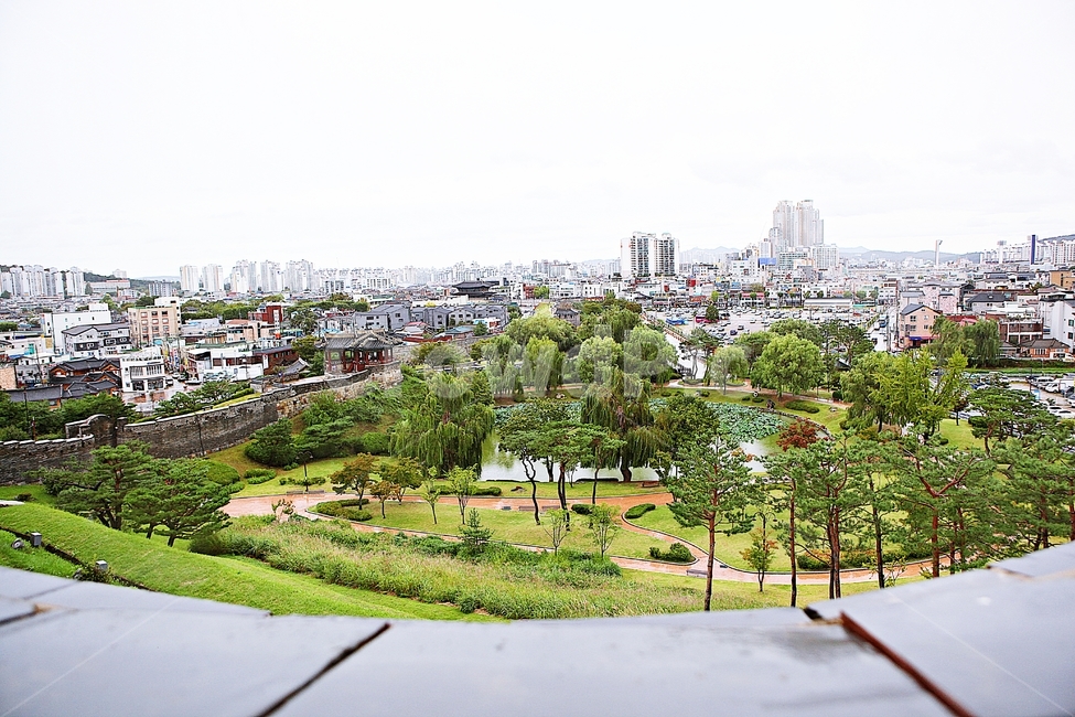 수원화성,성,성곽,길,둘레길,돌담,담,가을,자연,풍경,벽,방어벽,흙담,식물,전통,한국전통,한국문화,korean traditional,korean culture
