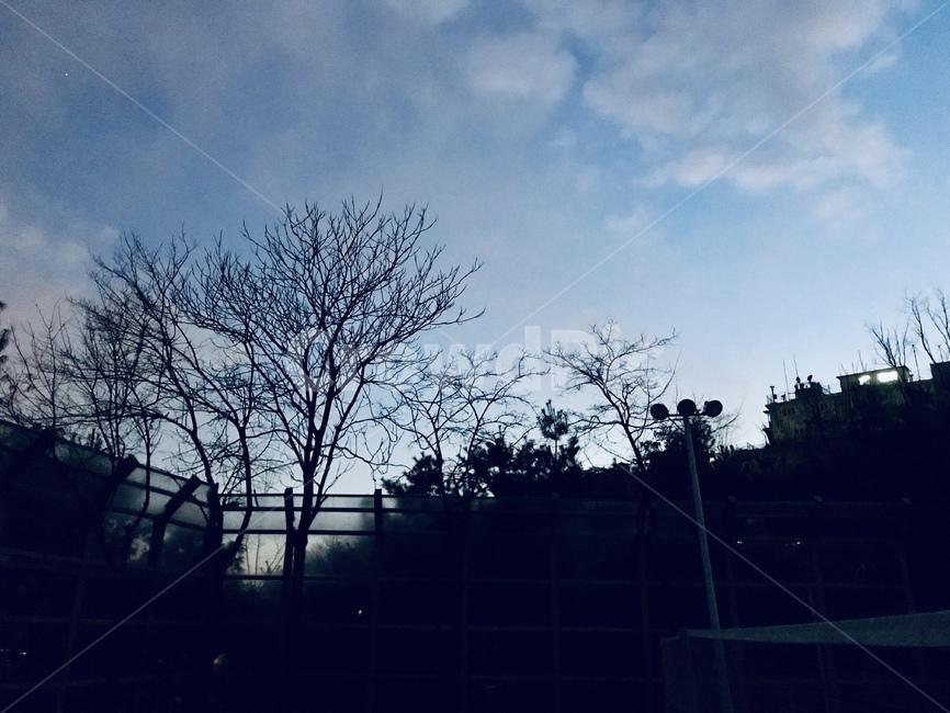 하늘,나무,저녁,밤,풍경,자연,구름,가로등,자연,풍경,nature,landscape