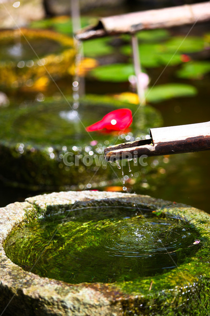 생수,약수,갈증,샘물,여름,무더위,식수,약수터,목마름,시원한,휴식,힐링,rest,relaxation,healing