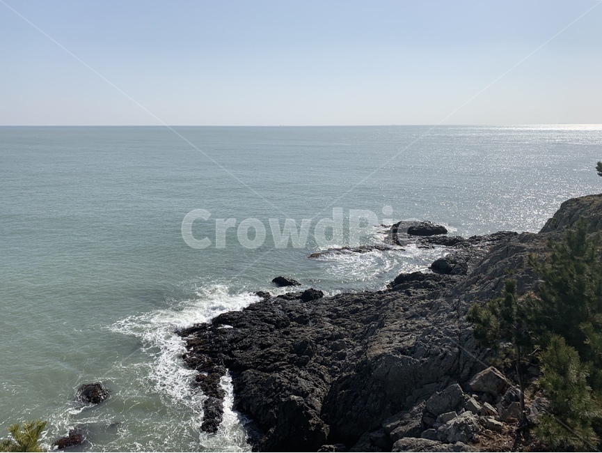 바다,바위,돌,부산,부산바다,해운대,동백섬,sea,ocean