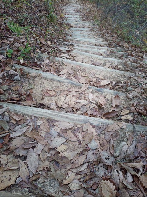 자연,계단,풍경,낙엽,등산,힐링,나뭇잎,숲,산,nature,겨울,가을,계절,산책,배경,바닥,ground,mountain,leaf,stairs,감성사진
