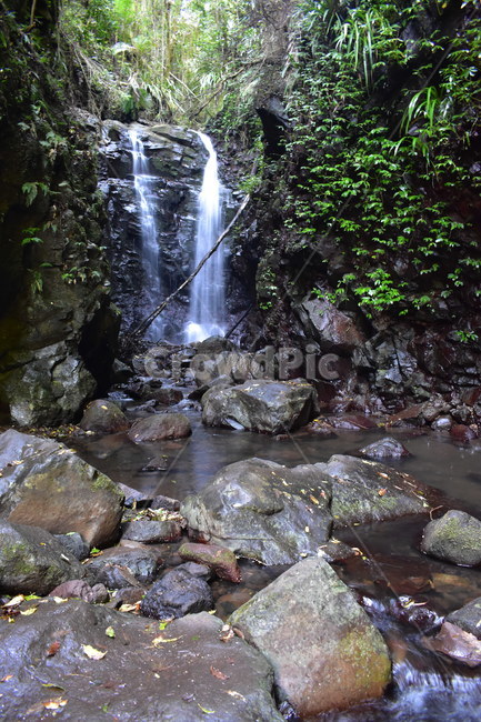 폭포수,산속,계곡,열대우림,여름,waterfall,rainforest,valley,summer,rock,green,stone,scenic