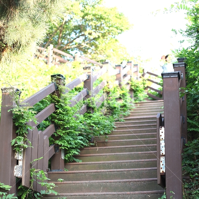 속초,영금정,계단,오후,수풀,자연,풍경,nature,landscape,outdoors,옥외,garden,정원,arbour,정자
