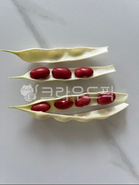 kidney bean,bean pod,vegetable,food,bean