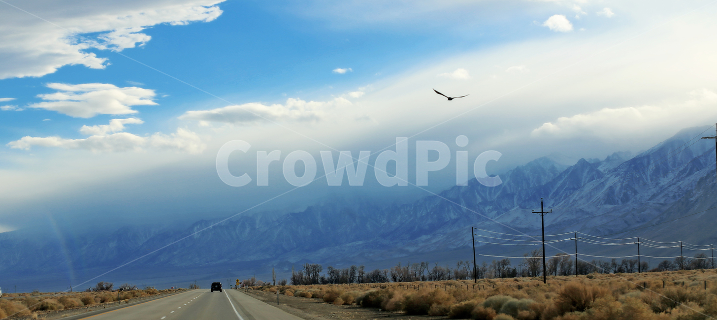 도로,새,california,산,길,mountain,여행,휴가,traveling,vacation,trip,교통,교통수단,traffic,transportation