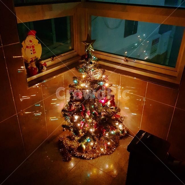 크리스마스,트리,겨울,따뜻함,알록달록,기념일,축하,anniversary,congratulation,celebrate,celebration,메리크리스마스,성탄절,merry christmas