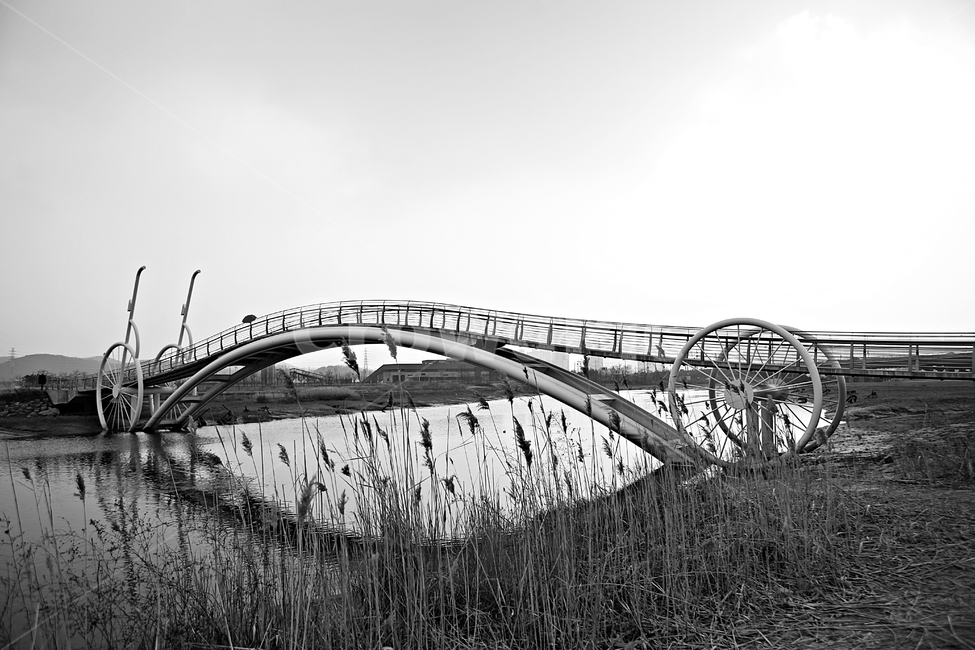 미생의다리,다리,갯벌,바다,자연,베경,풍경,생태공원,흑백,모노톤,monochrome,black and white,건축물,건물외관,exterior,building,structure,architecture,construction