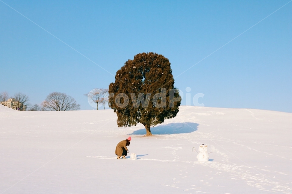 올림픽공원,겨울,나홀로나무,눈사람,눈굴리기,설경,눈,winter,snow,감성,감성사진,계절,여행,겨울,계절,winter,season,자연,풍경,nature,landscape,식물,plants,나무,trees,wood,사람,인물,인간,human,person,여성,여자,woman,female,lady,감성,sensible,feeling,tree,plant,tree trunk,나무 줄기