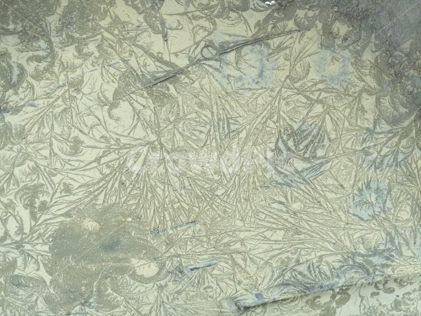 결정,한파,냉기,추위,혹한,겨울,계절,winter,season