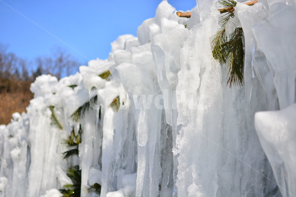 얼음폭포,눈덮인,얼음,눈,겨울,계절,winter,season,자연,한국자연풍경,한국자연경관,korea,nature,landscape,outdoors,옥외,water,물,river,강,ice,빙,겨울,계절,winter,season