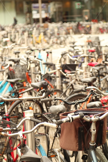 transportation,교통,bike,자전거,bicycle,코펜하겐,덴마크