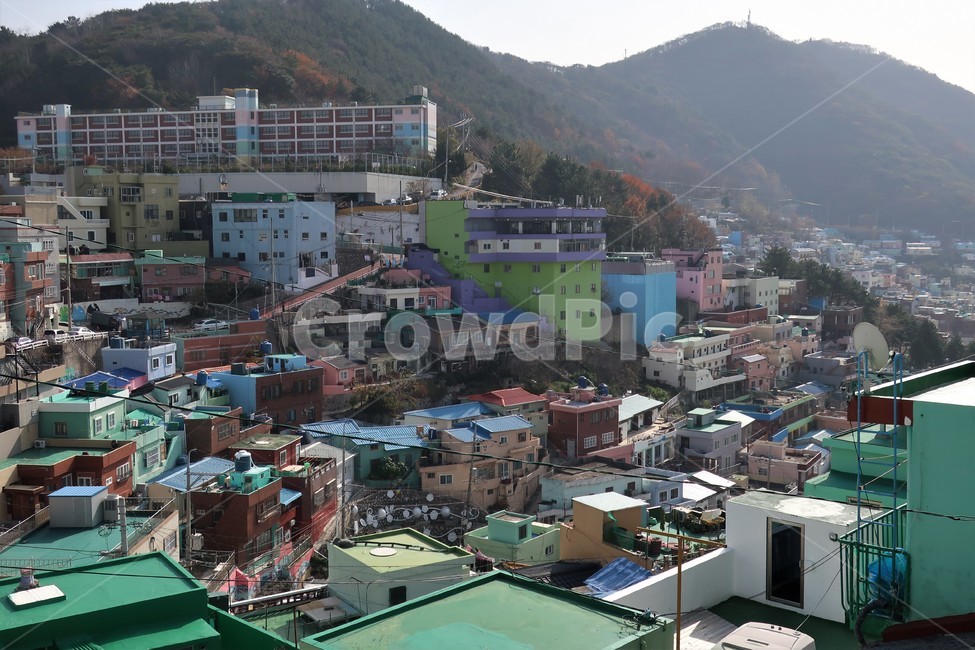 부산,감천,마을,언덕,동네,감천문화마을,골목,풍경,감성,색감,명소,관광지,필수코스,도시,풍경,city,landscape,한국도시풍경,한국도시경관,korea cityscape,경치,outdoors,옥외,nature,자연,scenery,aerial view,조감도