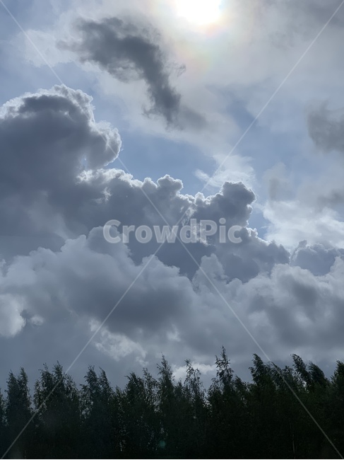 weather,날씨,nature,자연,하늘,sky,구름,cloud,light,sun,tree,나무
