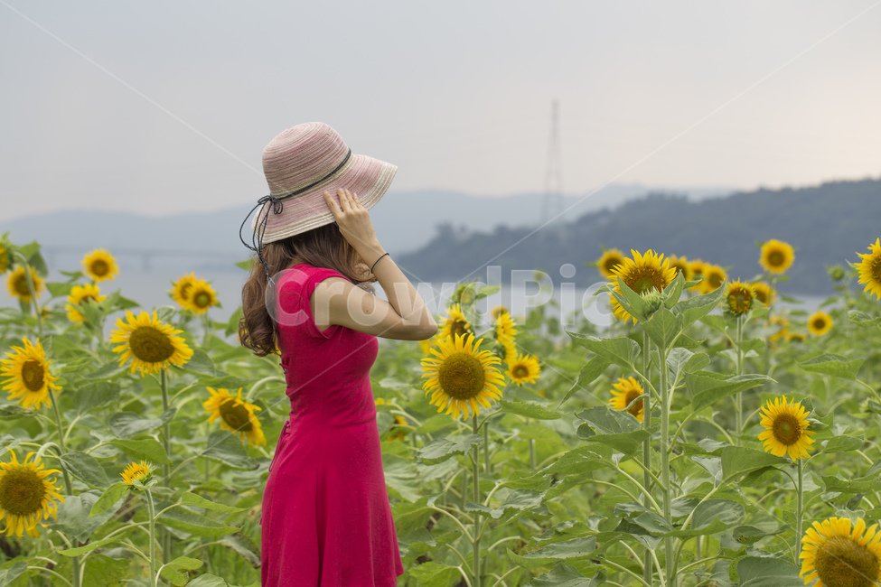 nature,pose,yellow,back,flower garden,sunflower,flower,outdoor,plant,sight,female