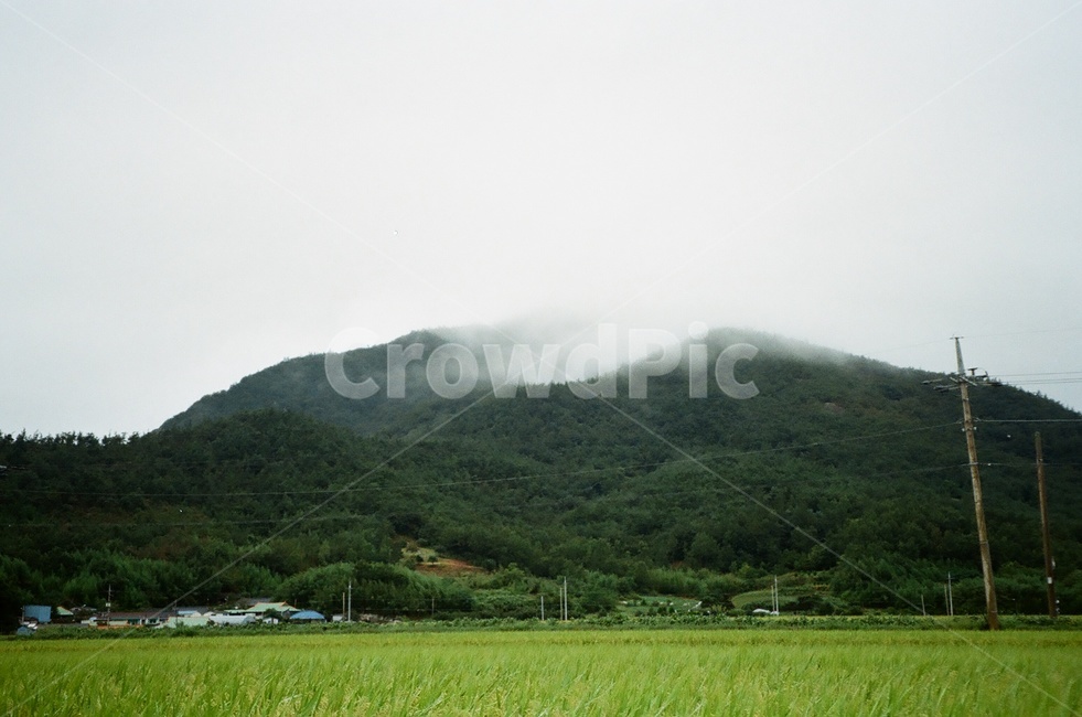nature,자연,outdoors,옥외,countryside,시골,지방,구름,안개,cloude,산,논,밭,아침,morning