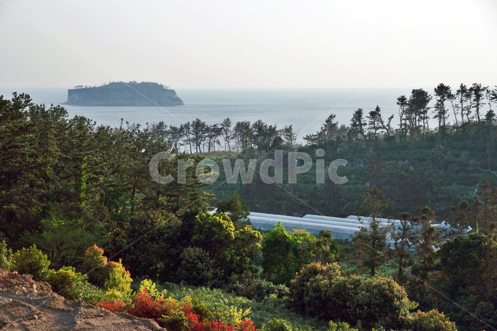 범섬,제주,올레71코스,올레길,서귀포,바다,자연,풍경,nature,landscape,tree,나무,plant,식물,outdoors,옥외,land,땅,bush,부시,vegetation,초목