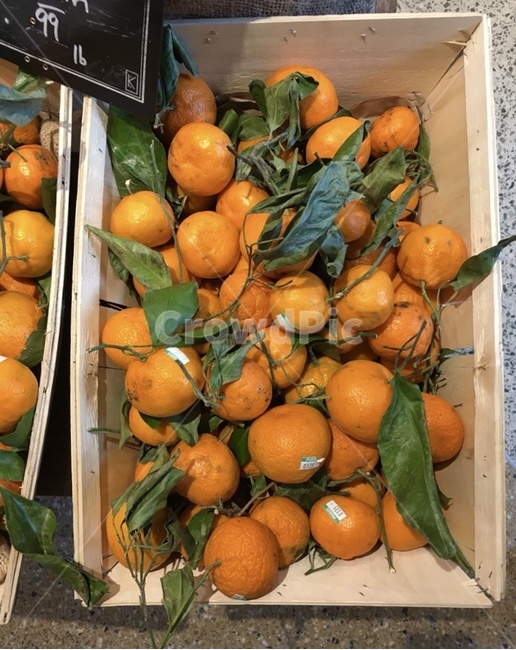 시장,마켓,과일,귤,주황색,orange,음식,식재료,요리,food,cook,meal,dishes,food reserves,과일,열매,fruit
