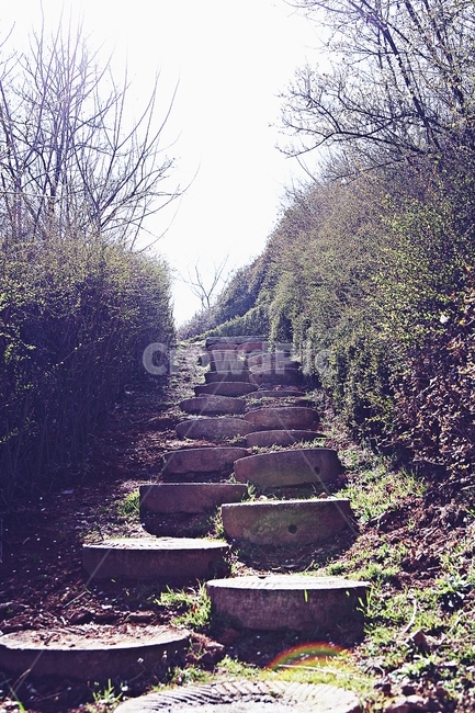 돌길,길,식물,자연,배경,풍경,자연,풍경,nature,landscape