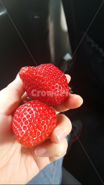 Red,fruit,refreshing,strawberry,red fruit