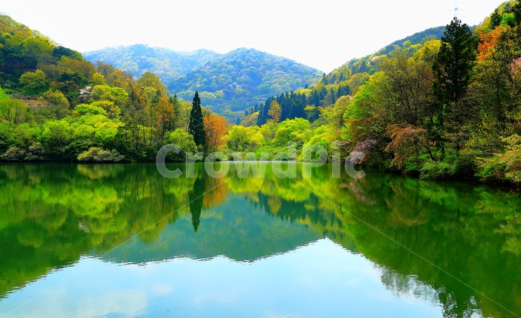 반영,물,세량지,화순,봄,나무,저수지,풍경,자연,자연,풍경,nature,landscape,한국자연풍경,한국자연경관,korea nature landscape,water,outdoors,옥외,lake,호수