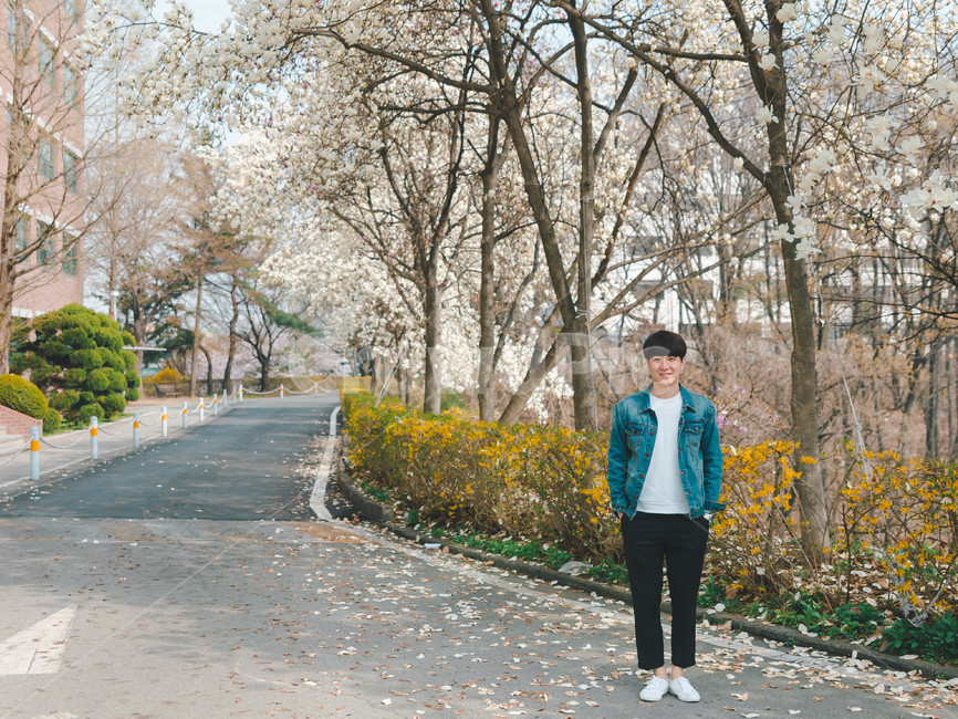 남자,인물,벚꽃,봄,man